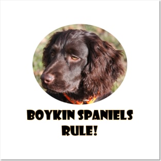 Boykin Spaniels Rule! Posters and Art